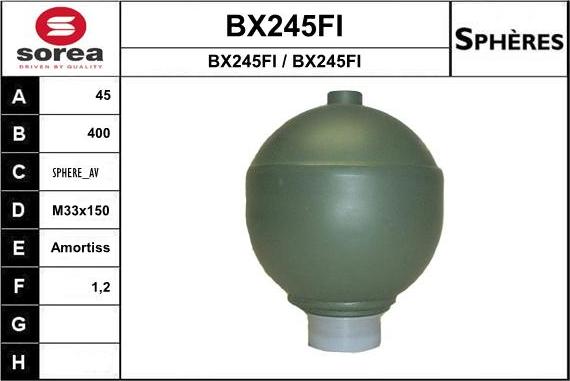 SNRA BX245FI - Accumulateur de pression, suspension / amortissement cwaw.fr