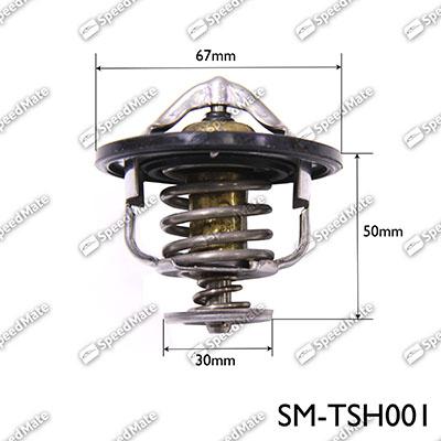 SpeedMate SM-TSH001 - Thermostat d'eau cwaw.fr