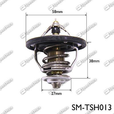 SpeedMate SM-TSH013 - Thermostat d'eau cwaw.fr