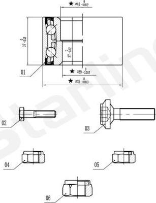 Starline LO 01355 - Kit de roulements de roue cwaw.fr