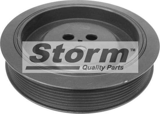 Storm F2993 - Poulie, vilebrequin cwaw.fr