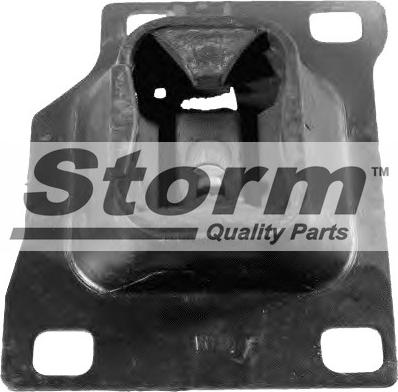 Storm F2495 - Support moteur cwaw.fr