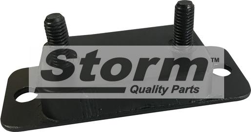 Storm F2153 - Support, silencieux cwaw.fr