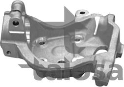 Talosa 79-01404R - Fusée d'essieu, suspension de roue cwaw.fr