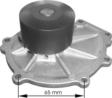 TECDRIVE TPAE0330 - Pompe à eau cwaw.fr