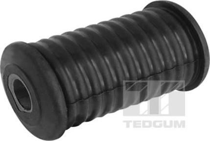 Tedgum 00587372 - Suspension, ressort à lames cwaw.fr