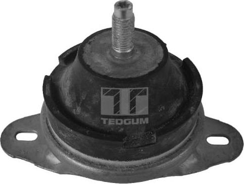 Tedgum 00514176 - Support moteur cwaw.fr