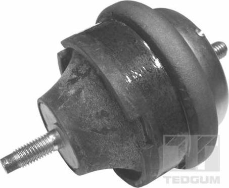 Tedgum 00145015 - Support moteur cwaw.fr