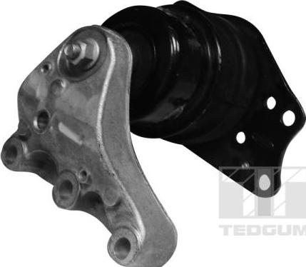 Tedgum 00720084 - Support moteur cwaw.fr