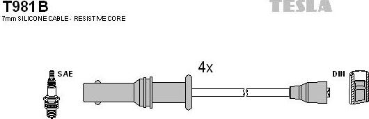 TESLA T981B - Kit de câbles d'allumage cwaw.fr