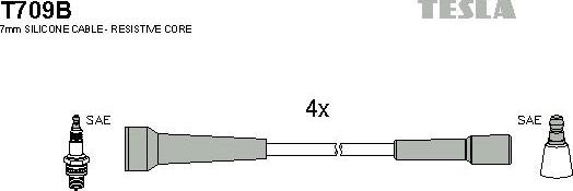 TESLA T709B - Kit de câbles d'allumage cwaw.fr