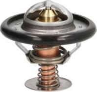 Thermotec D2C002TT - Thermostat d'eau cwaw.fr