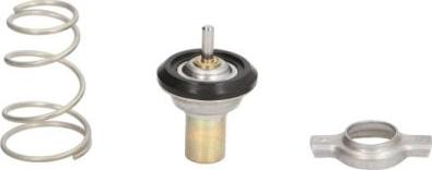 Thermotec D2F002TT - Thermostat d'eau cwaw.fr