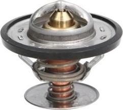 Thermotec D2G001TT - Thermostat d'eau cwaw.fr