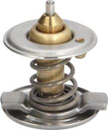 Thermotec D2M001TT - Thermostat d'eau cwaw.fr