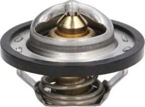 Thermotec D2R001TT - Thermostat d'eau cwaw.fr