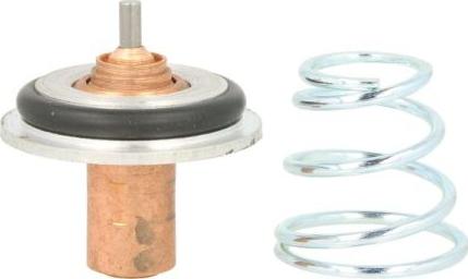 Thermotec D2R002TT - Thermostat d'eau cwaw.fr