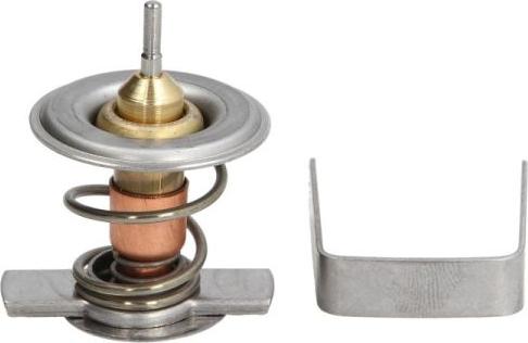 Thermotec D2X009TT - Thermostat d'eau cwaw.fr