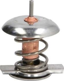 Thermotec D2Y002TT - Thermostat d'eau cwaw.fr