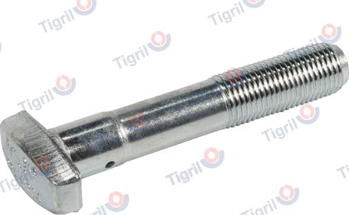 TIGRIL BP24.0005 - Boulon de roue cwaw.fr