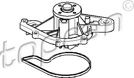 Topran 407 922 - Pompe à eau cwaw.fr