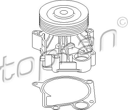 Topran 500 310 - Pompe à eau cwaw.fr