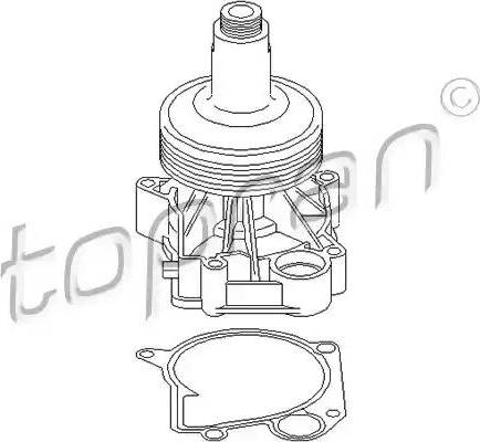 Topran 500 313 - Pompe à eau cwaw.fr