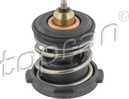 Topran 638 754 - Thermostat d'eau cwaw.fr