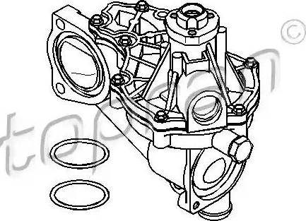 Topran 108 077 - Pompe à eau cwaw.fr