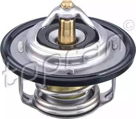 Topran 820 961 - Thermostat d'eau cwaw.fr