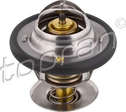 Topran 300 597 - Thermostat d'eau cwaw.fr