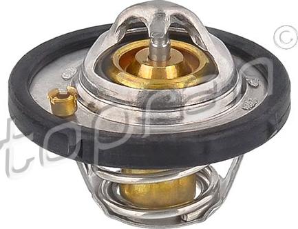 Topran 301 890 - Thermostat d'eau cwaw.fr