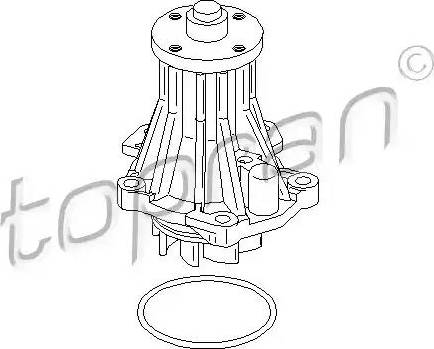 Topran 302 424 - Pompe à eau cwaw.fr