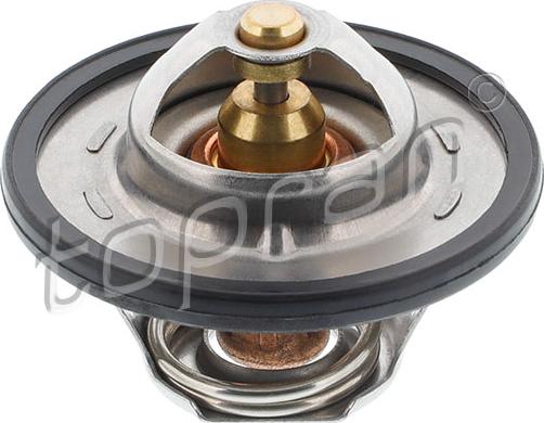 Topran 721 112 - Thermostat d'eau cwaw.fr