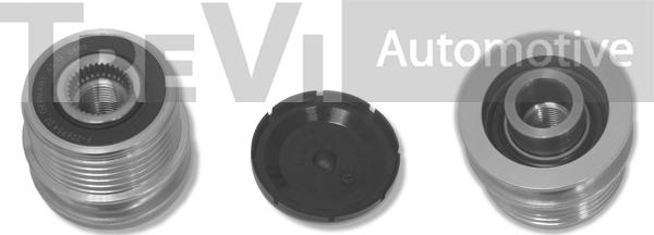 Trevi Automotive AP1014 - Poulie, alternateur cwaw.fr