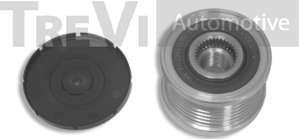 Trevi Automotive AP1114 - Poulie, alternateur cwaw.fr