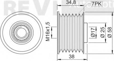 Trevi Automotive AP1183 - Poulie, alternateur cwaw.fr