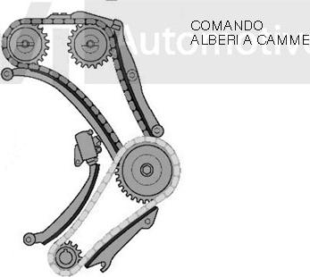 Trevi Automotive KC1005 - Kit de distribution par chaîne cwaw.fr