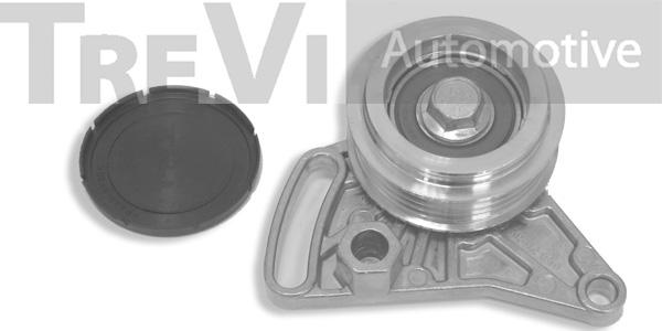 Trevi Automotive TA1170 - Poulie renvoi / transmission, courroie trapézoïdale à nervures cwaw.fr