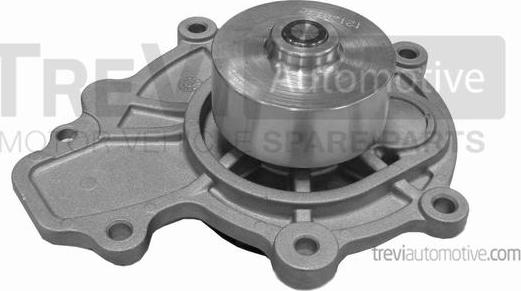 Trevi Automotive TP1168 - Pompe à eau cwaw.fr