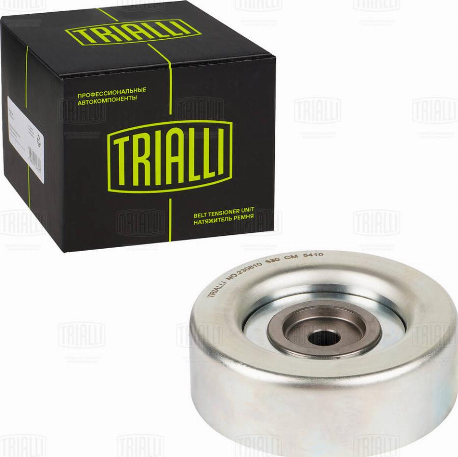 Trialli CM 5410 - Poulie renvoi / transmission, courroie trapézoïdale à nervures cwaw.fr