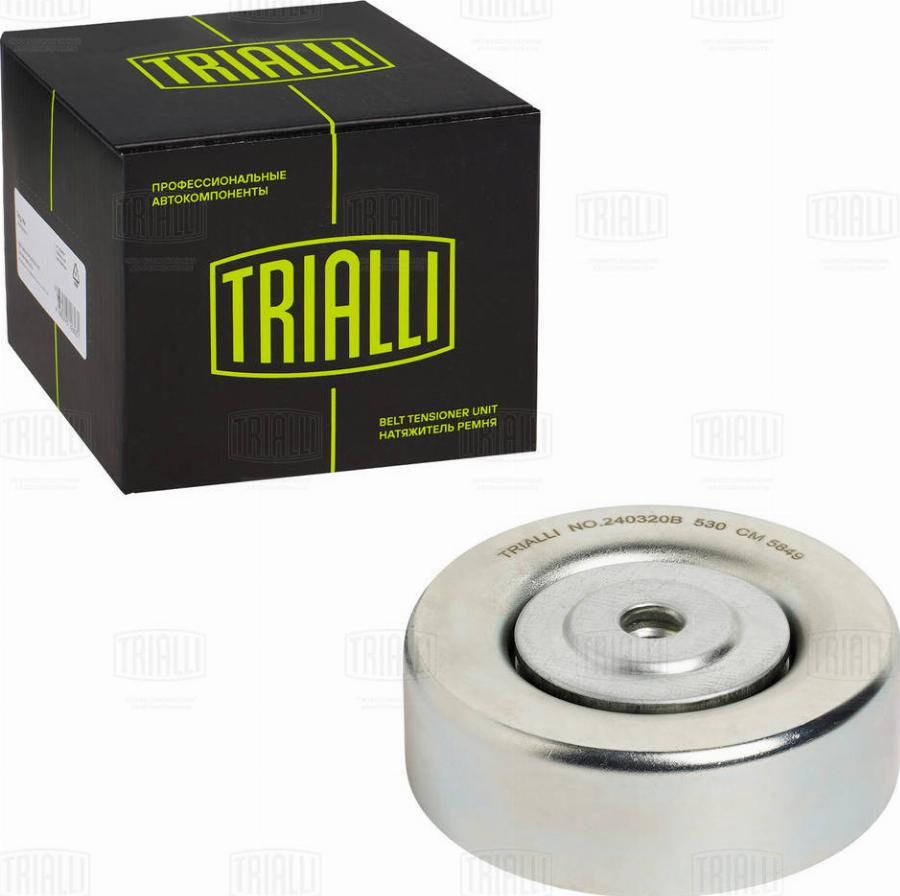 Trialli CM 5849 - Tendeur de courroie, courroie trapézoïdale à nervures cwaw.fr