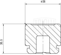 Trialli RCF 032009P - Piston, étrier de frein cwaw.fr