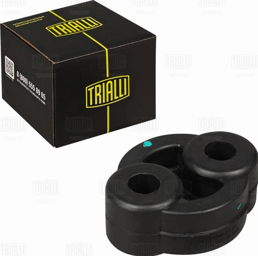 Trialli RM 0171 - Suspension, échappement cwaw.fr