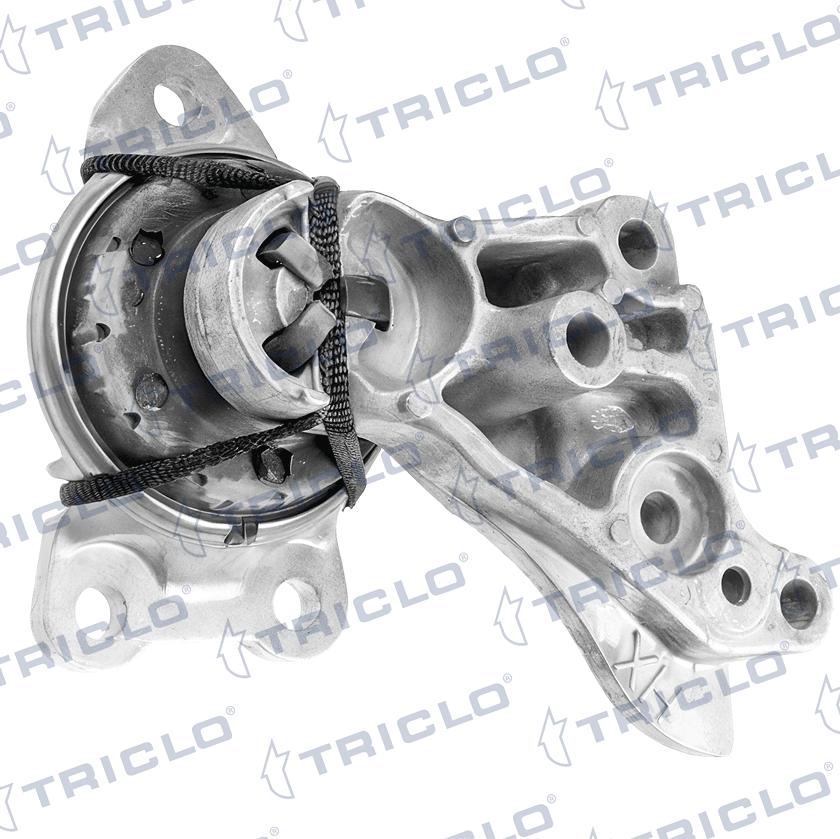 Triclo 365524 - Support moteur cwaw.fr