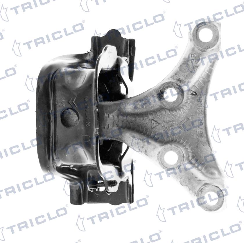 Triclo 360561 - Support moteur cwaw.fr