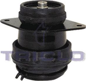 Triclo 363987 - Support moteur cwaw.fr