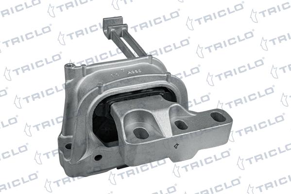 Triclo 363171 - Support moteur cwaw.fr