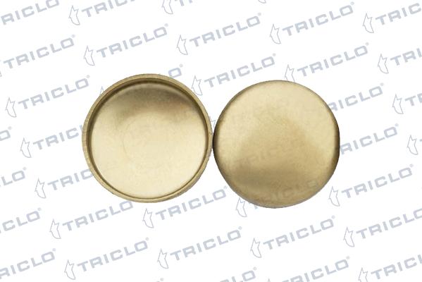 Triclo 322924 - Bouchon de dilatation cwaw.fr