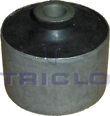 Triclo 785746 - Suspension, corps de l'essieu cwaw.fr